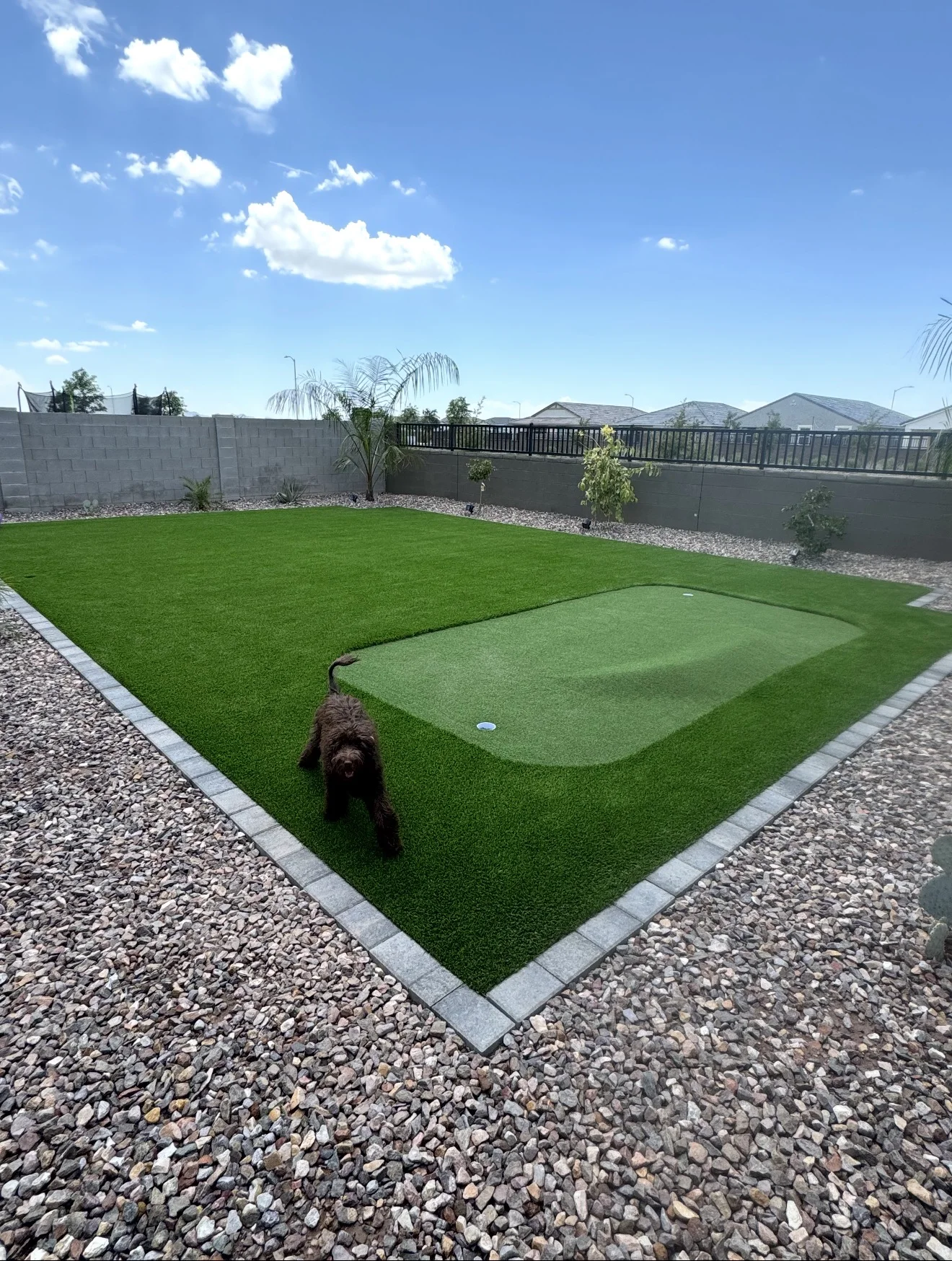 Installed backyard turf with a putting green and paver border