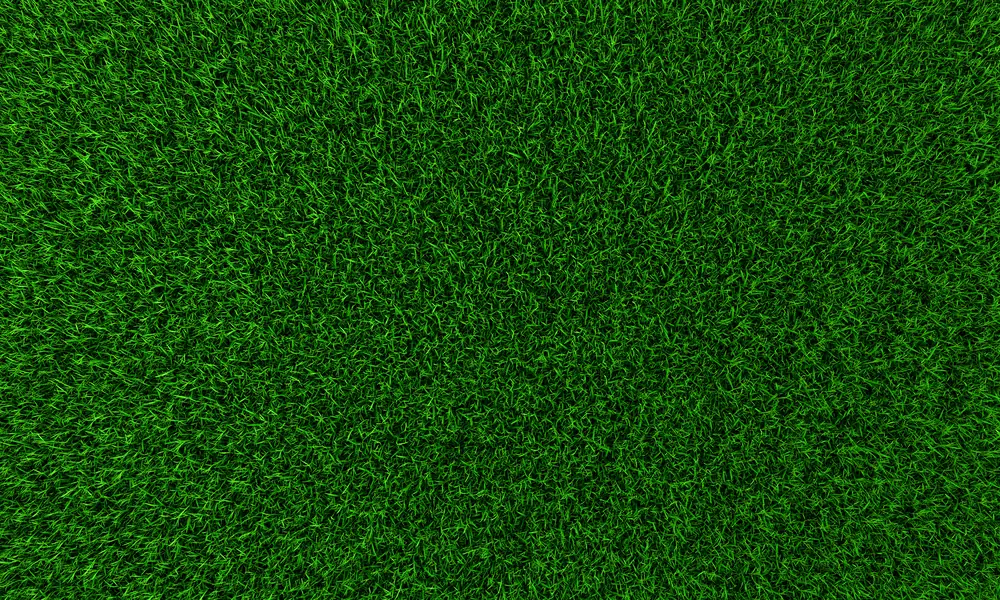 Close-up of artificial turf blades and texture